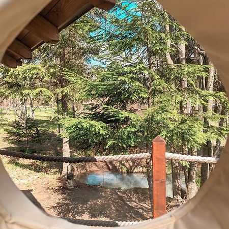 Medve Dome - Luxury Camping In The Middle Of Nature Hotel Влаица Екстериор снимка