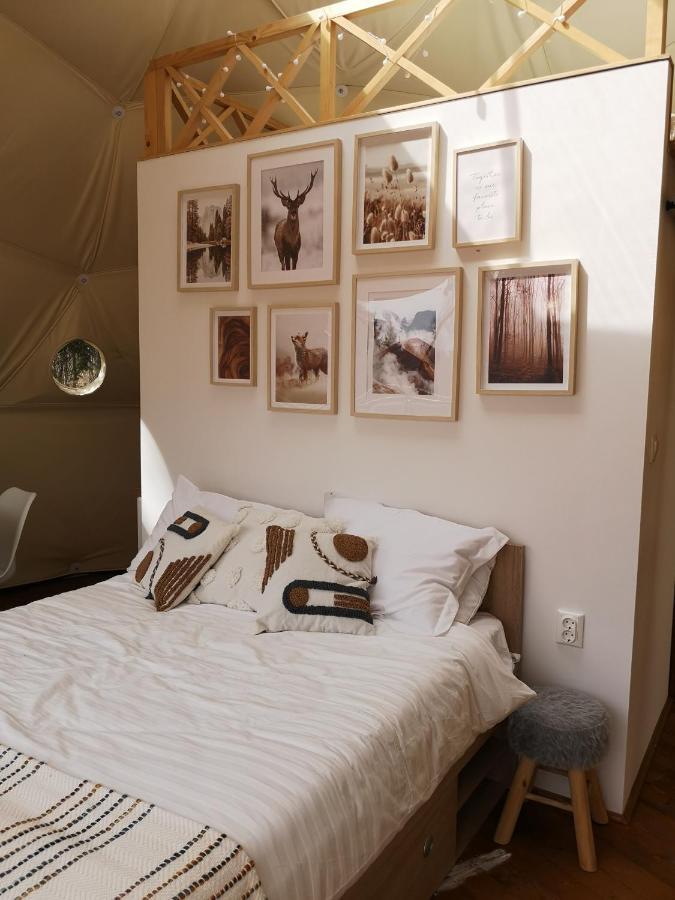 Medve Dome - Luxury Camping In The Middle Of Nature Hotel Влаица Екстериор снимка