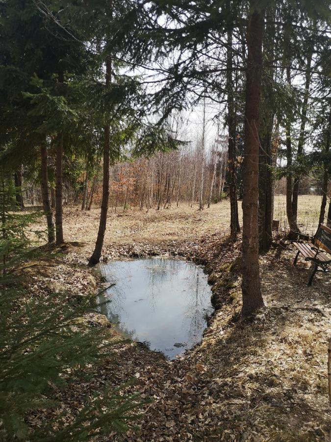 Medve Dome - Luxury Camping In The Middle Of Nature Hotel Влаица Екстериор снимка