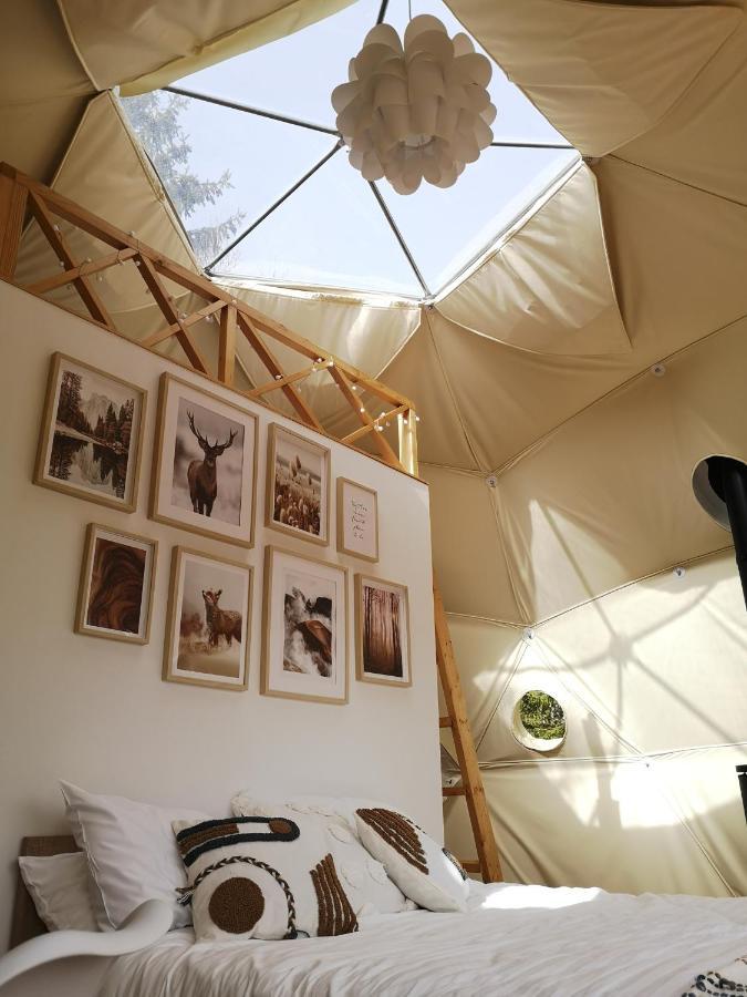 Medve Dome - Luxury Camping In The Middle Of Nature Hotel Влаица Екстериор снимка
