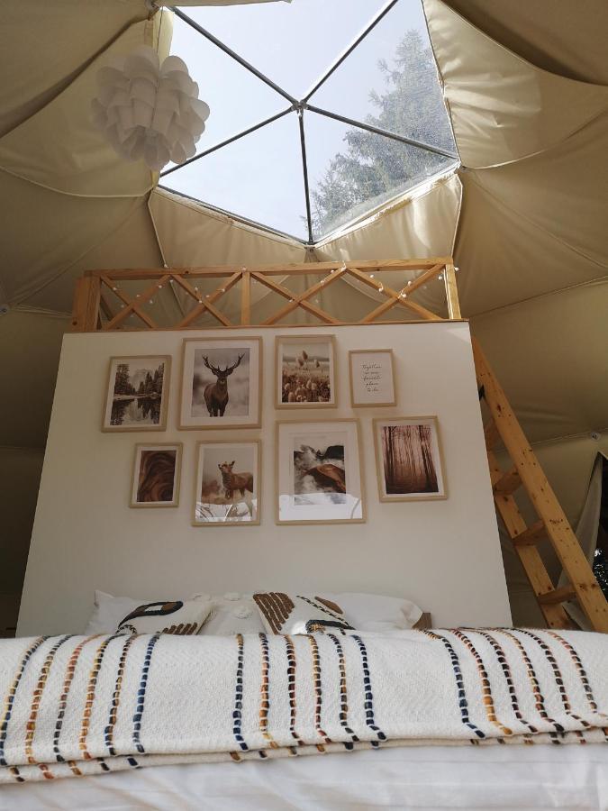 Medve Dome - Luxury Camping In The Middle Of Nature Hotel Влаица Екстериор снимка