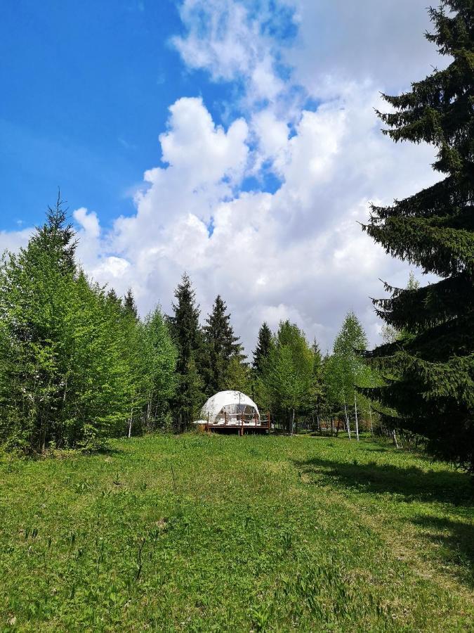 Medve Dome - Luxury Camping In The Middle Of Nature Hotel Влаица Екстериор снимка