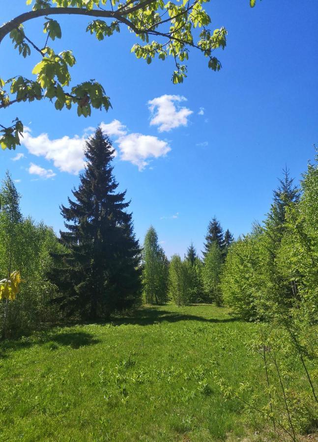 Medve Dome - Luxury Camping In The Middle Of Nature Hotel Влаица Екстериор снимка