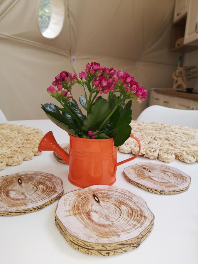 Medve Dome - Luxury Camping In The Middle Of Nature Hotel Влаица Екстериор снимка