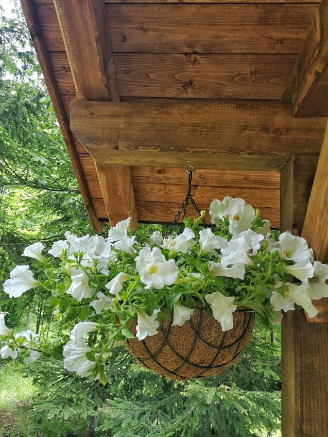Medve Dome - Luxury Camping In The Middle Of Nature Hotel Влаица Екстериор снимка